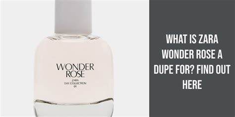 zara versace dupe|zara wonder rose dupes.